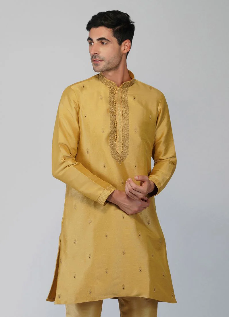 Gold Zardi Embroidered Kurta Churidaar Set - Image 4
