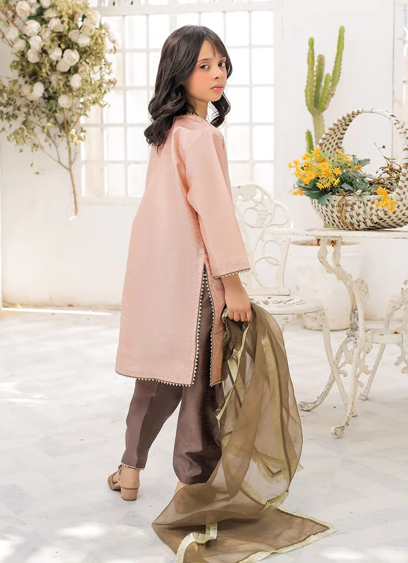 Kid's Peach-Mouse Raw Silk Suit Set - Image 3