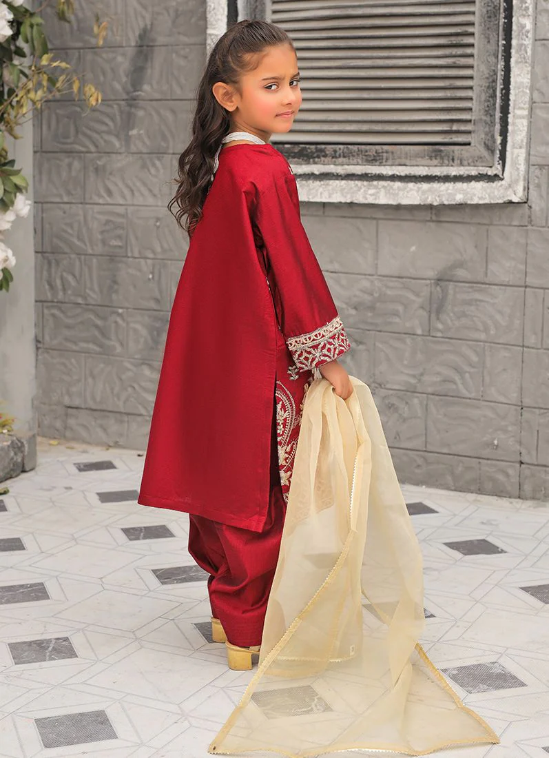 Maroon All Over Embroidered Suit Set - Image 4